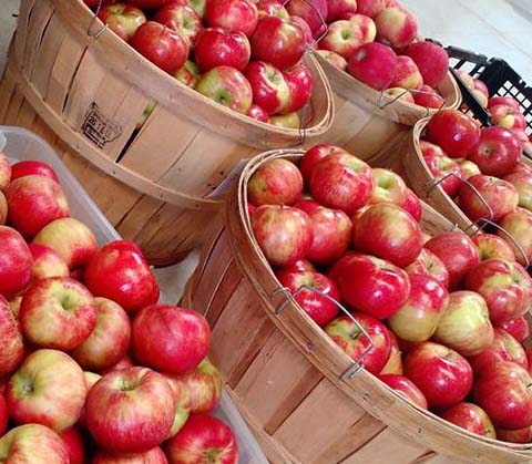 Honeycrisp Apples in Baskets