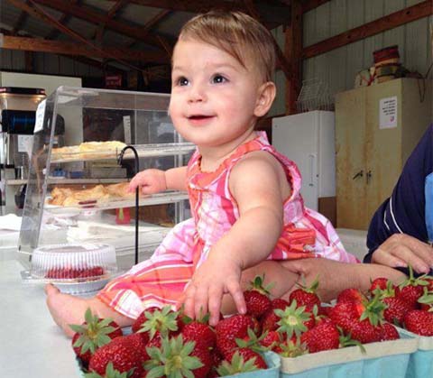 Little Girl Sitting on Table Next to Strawberries